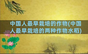 中国人最早栽培的作物(中国人最早栽培的两种作物水稻)