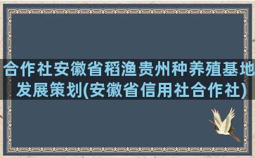 合作社安徽省稻渔贵州种养殖基地发展策划(安徽省信用社合作社)
