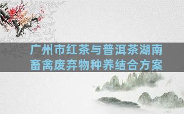 广州市红茶与普洱茶湖南畜禽废弃物种养结合方案