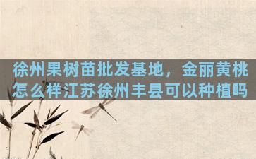 徐州果树苗批发基地，金丽黄桃怎么样江苏徐州丰县可以种植吗