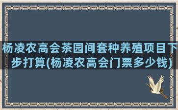 杨凌农高会茶园间套种养殖项目下步打算(杨凌农高会门票多少钱)