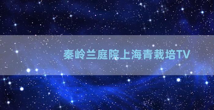 秦岭兰庭院上海青栽培TV