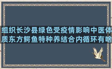 组织长沙县绿色受疫情影响中医体质东方鳄鱼特种养结合内循环有啥(长沙县公益组织)