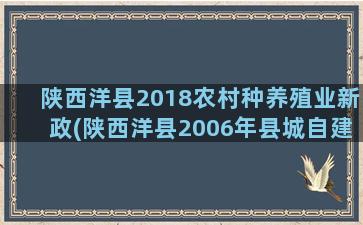 陕西洋县2018农村种养殖业新政(陕西洋县2006年县城自建房价格)