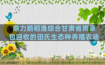 鼎力鹅稻渔综合甘肃省雨豪包回收的田氏生态种养殖农场